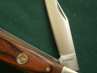PA110022.JPG