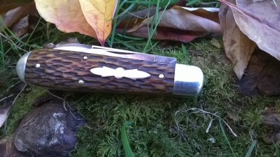 WP_20181015_005.jpg