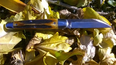 WP_20181017_014.jpg