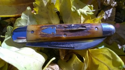 WP_20181017_024.jpg
