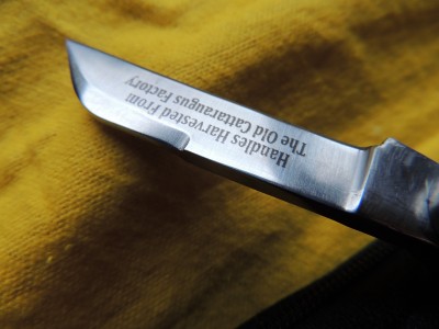 DSCN5008.JPG