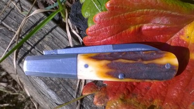 WP_20181019_080.jpg