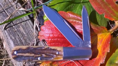 WP_20181019_075.jpg