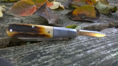 WP_20181019_013.jpg