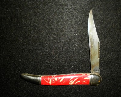 SANY0001.JPG