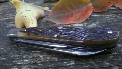 WP_20181019_068.jpg