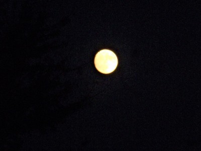 P1020807.JPG