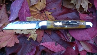WP_20181023_009.jpg