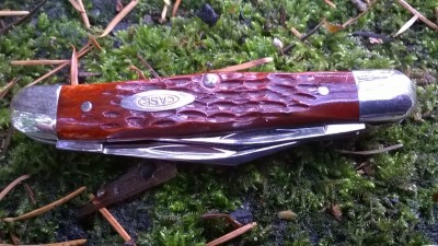 WP_20181023_040.jpg