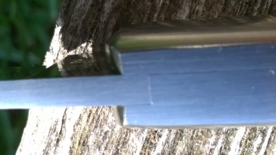 WP_20181022_010.jpg