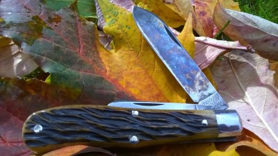 WP_20181024_008.jpg