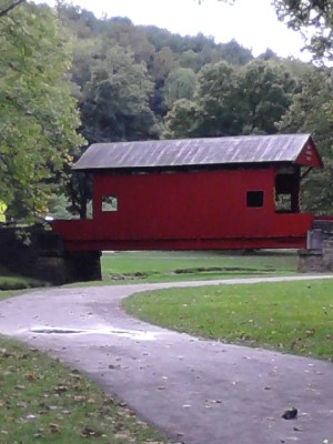 P82A0717.JPG