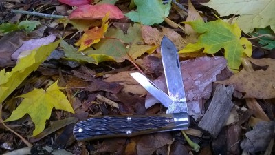 WP_20181026_060.jpg