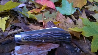 WP_20181026_077.jpg