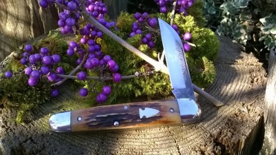 WP_20181027_006.jpg