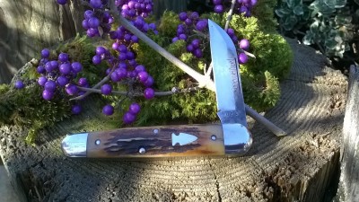 WP_20181027_004.jpg