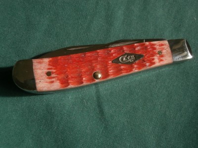 PA260001.JPG