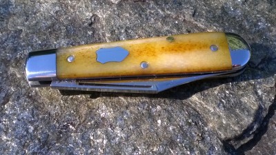 WP_20181010_019.jpg