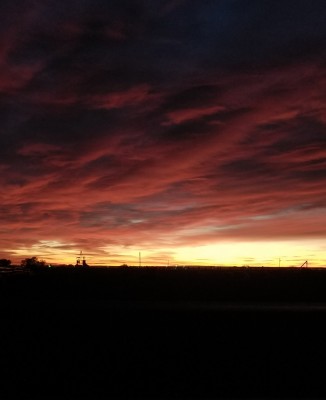 20181029_064700.jpg