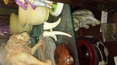 lions teeth.jpg