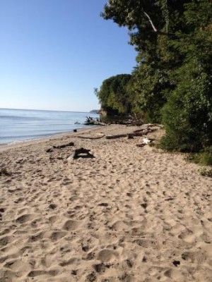 Brownies Beach 1.jpg