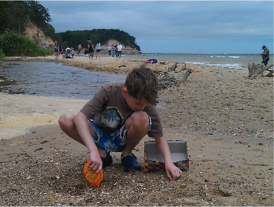 Brownies Beach 3.jpg