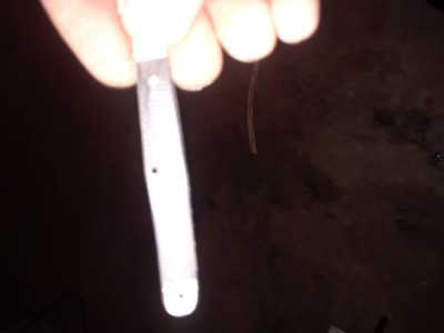 20181029_113211.jpg