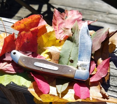 20181029_123549.jpg