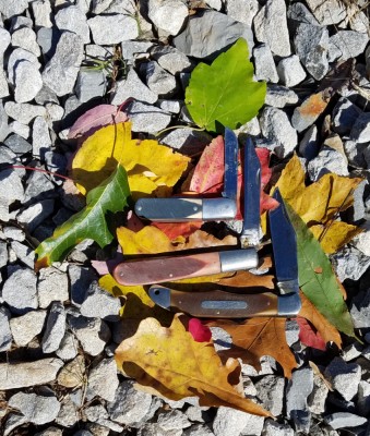 20181029_151315.jpg
