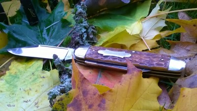 WP_20181031_048.jpg
