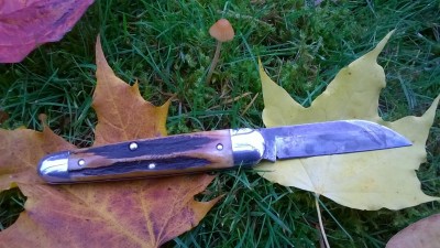 WP_20181031_065.jpg