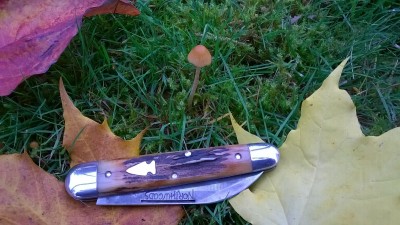 WP_20181031_068.jpg