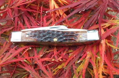 A shiny knife on a bunch of leaves