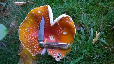 WP_20181101_039.jpg