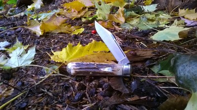 WP_20181102_022.jpg