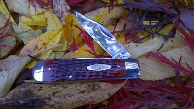 WP_20181102_060.jpg