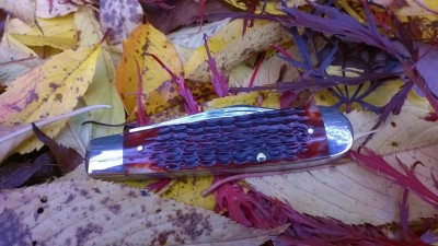WP_20181102_062.jpg