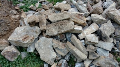 IMG_20170827_075146248.jpg