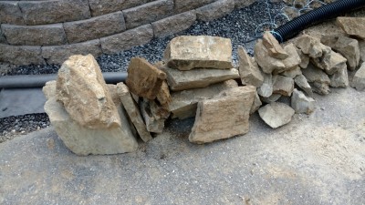 IMG_20170827_075137184.jpg