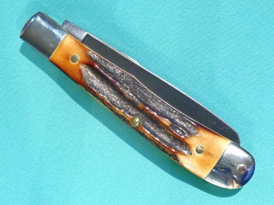 296Y QUAIL-5.jpg