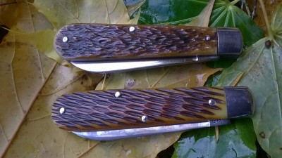 WP_20181107_010.jpg