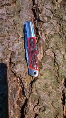 WP_20171107_044.jpg