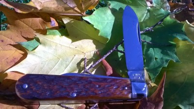 WP_20181108_012.jpg