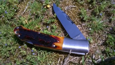 WP_20180503_005.jpg