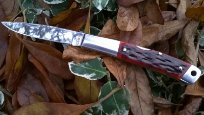 WP_20171107_006.jpg