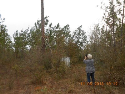 Miss Joy taking a picture of our destroyed handiwork.  She and I built that stand using a climbing stand to begin the construction.  Can't do things like that any more.