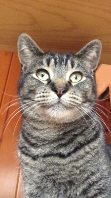 image.jpeg