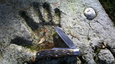 WP_20181024_039.jpg