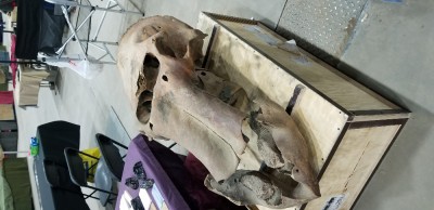20181111_074814.jpg