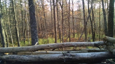 IMG_20181112_151442074.jpg